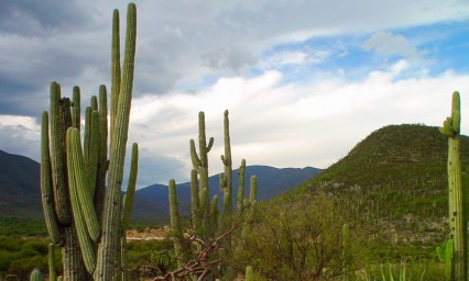 Llega muestra de cine a la Mixteca