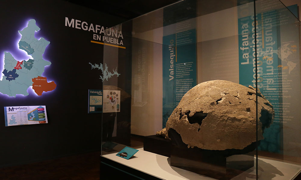 Exhiben nuevas piezas  antiguas en el Museo Regional