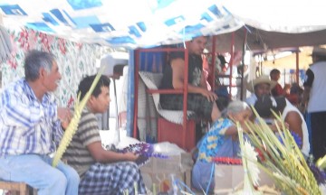 Listas, artesanas para Domingo de Ramos