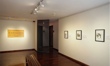 Exhiben más de 10 obras al carbón