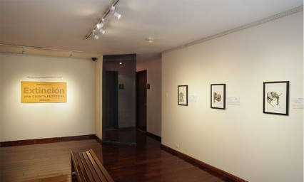 Exhiben m&aacute;s de 10 obras al carb&oacute;n