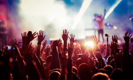 Fiesta de la m&uacute;sica, una diversidad de g&eacute;neros