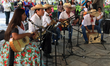 Suenan sones de Guerrero y Veracruz