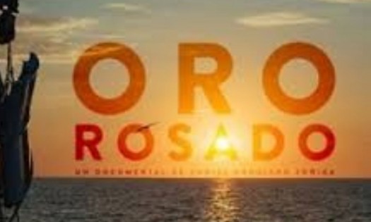 Recibe Oro rosado, Mención Especial del Festival de Argentina