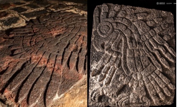 Localiza INAH bajorrelieve de un águila real descubierto en el Proyecto Templo Mayor 