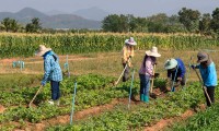Agrónoma mexicana es premiada por apoyar a población rural vulnerable