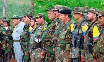 Aprueban amnist&iacute;a para guerrilleros de las FARC