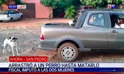 Atan a perro al auto y lo arrastran hasta matarlo