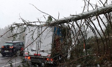 Vientos azota norte de Europa; reportan 7 muertos