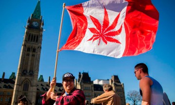 Legaliza Canadá el uso recreativo de la mariguana