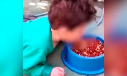 Madre hace comer a su hijo comida para perro