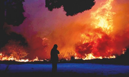 Dejan incendios m&aacute;s de 70 muertos en Grecia