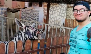 Quiso pasar burros por cebras en un zool&oacute;gico