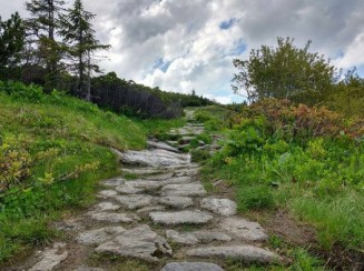 Maravillosas opciones para recorrer el legendario Camino de Santiago