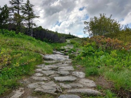 Maravillosas opciones para recorrer el legendario Camino de Santiago