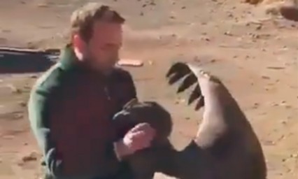 La historia del c&oacute;ndor que regresa con su salvador en Patagonia