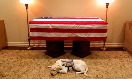 El perro Sully se niega a separarse de George H. W. Bush