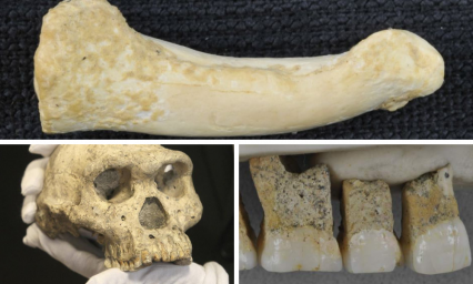 Hallan nueva especie humana en Filipinas