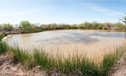 Manantial hist&oacute;rico de Arizona, primera v&iacute;ctima del Muro