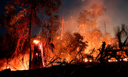 Es falsa la defensa  de Amazon&iacute;a que hizo Bolsonaro: Greenpeace