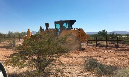 Por muro de Trump, quitan cactus en Arizona