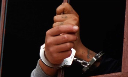 Arrestan a 337 por pornograf&iacute;a infantil en distintos pa&iacute;ses