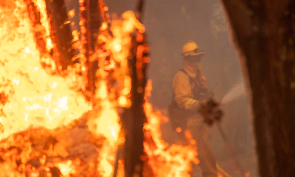 Critican la gestión de incendios en California