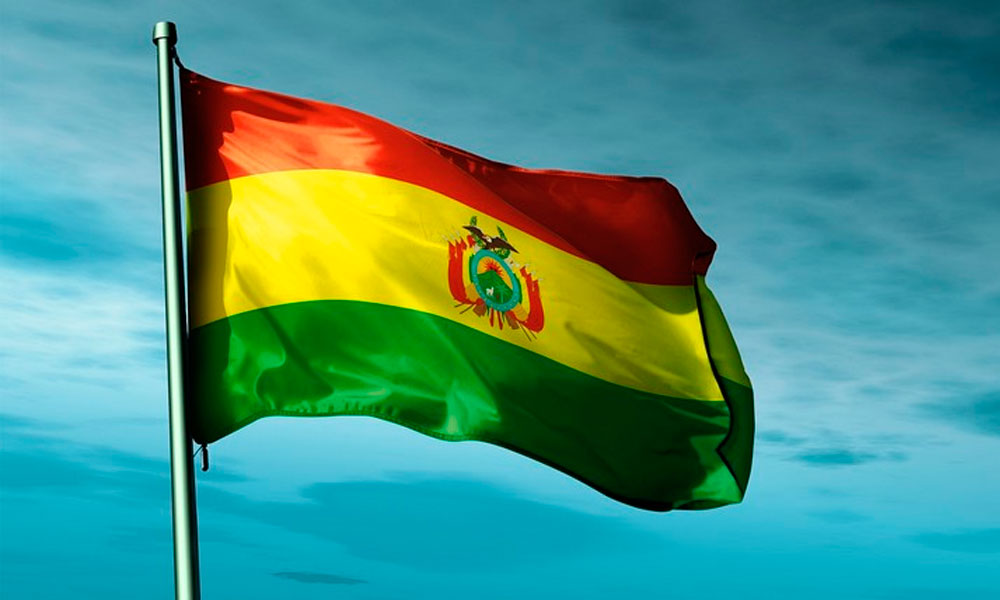 El Senado de Bolivia aprobó convocar a nuevas elecciones
