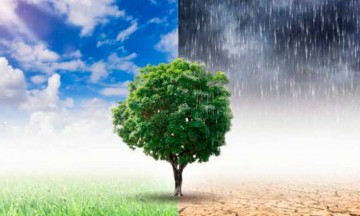 Aporte de mujeres ayudar&aacute; a mitigar cambio clim&aacute;tico