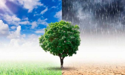 Aporte de mujeres ayudar&aacute; a mitigar cambio clim&aacute;tico