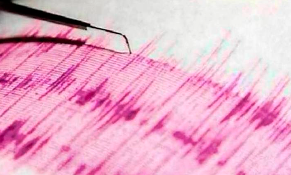 Registran sismo de 4.85 en Ecuador