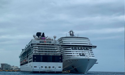 Cruceros, prioridad de EU ante el Covid-19