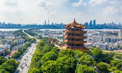 Estrategias de algunos pa&iacute;ses para contener el Covid-19