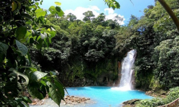 Proteger la naturaleza y garantizar el uso sostenible ayuda a prevenir pandemias