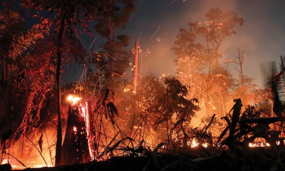 Deforestación en la Amazonía amenaza con nueva ola de incendios