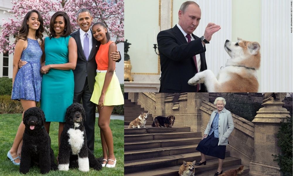 ¿Conoces a los perros más famosos de la política?