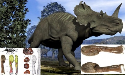 Descubren por primera vez un c&aacute;ncer maligno en un dinosaurio