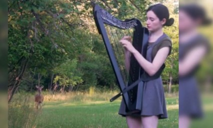 Joven toca el arpa en medio del bosque y atrae a un ciervo con bella melod&iacute;a