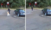 VIDEO: Mujer abandona a su perro en una carretera de EU 