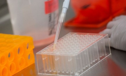 Estudio gen&eacute;tico revela que el coronavirus est&aacute; mutando y podr&iacute;a esquivar la inmunidad
