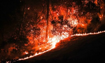 El incendio Glass afecta la zona vinícola de Napa y Sonoma.