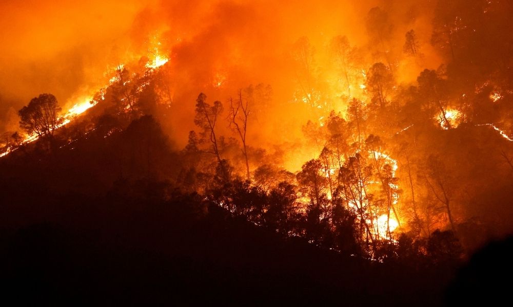 Al menos 31 personas han muerto en los incendios y se han destruido 8 mil 200 estructuras.