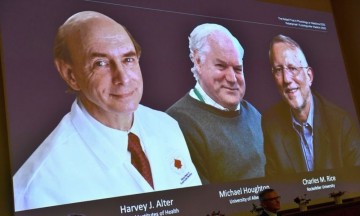 Ganadores del Nobel de Medicina descubrieron virus de la Hepatitis C