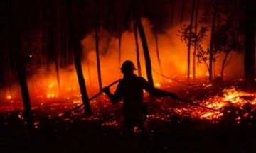 Se duplican catástrofes naturales a causa del cambio climático con más de 1,2 millones de muertes en los últimos veinte 