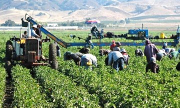 Otros dos trabajadores mexicanos han muerto en Canadá tras contraer la enfermedad.