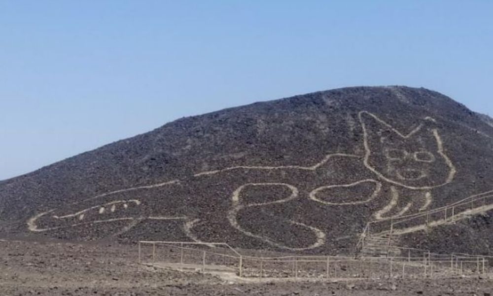 Descubren a Michi de 37 metros entre los geoglifos de Nazca
