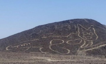 Descubren a Michi de 37 metros entre los geoglifos de Nazca