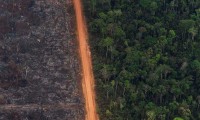 La deforestación en la Amazonía crece un 9,5 % en 2019