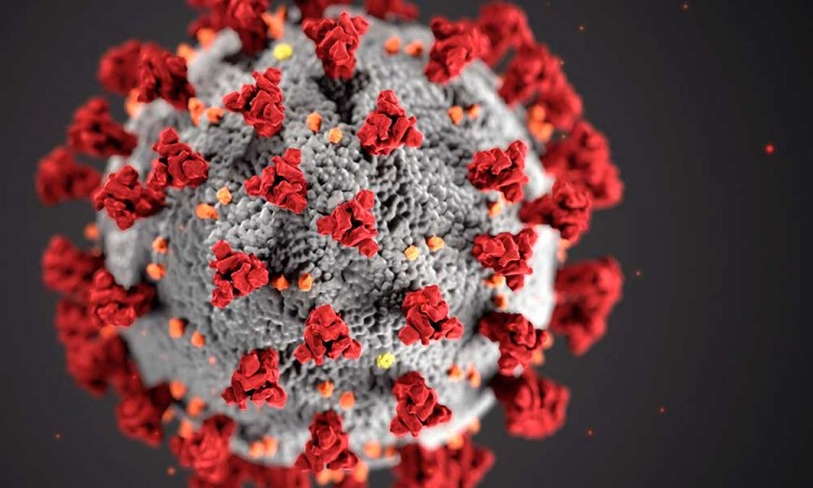 Se vive el segundo peor día de contagios de Covid-19 desde que empezó la pandemia