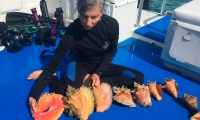 Publican manual para cultivo de moluscos marinos comestibles 